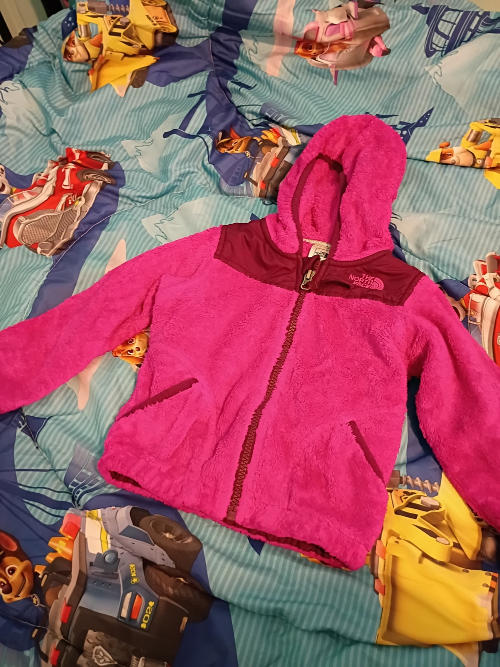 The North Face Kids' Pink Hooded Fleece Jacket